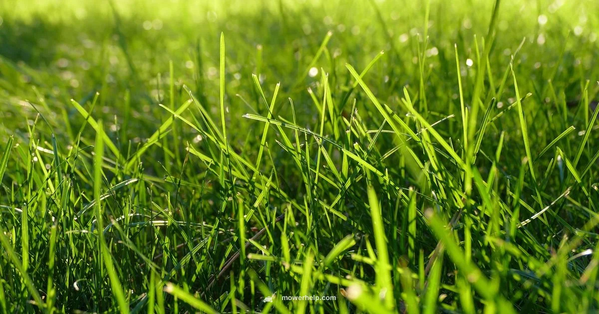 Blade Sharpening Guide Blade Sharpening Guide - Mower Help