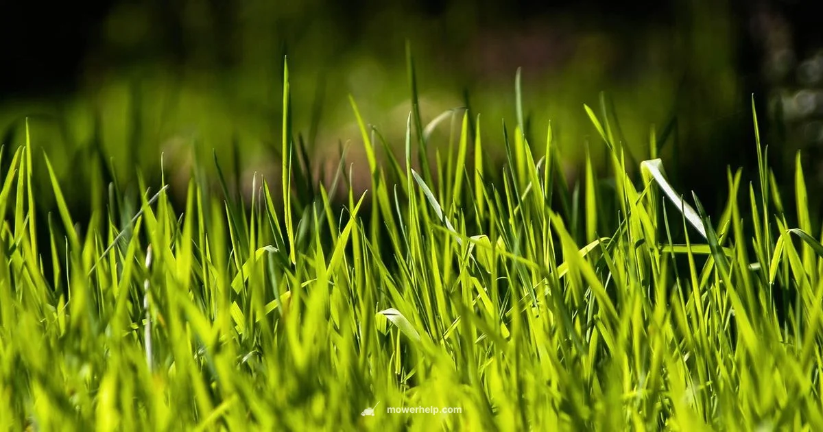 Mower Tire Guide - Mower Help