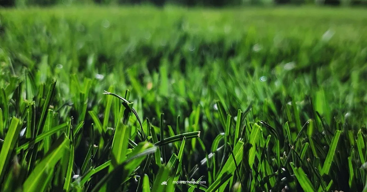 Blade Material Guide - Mower Help