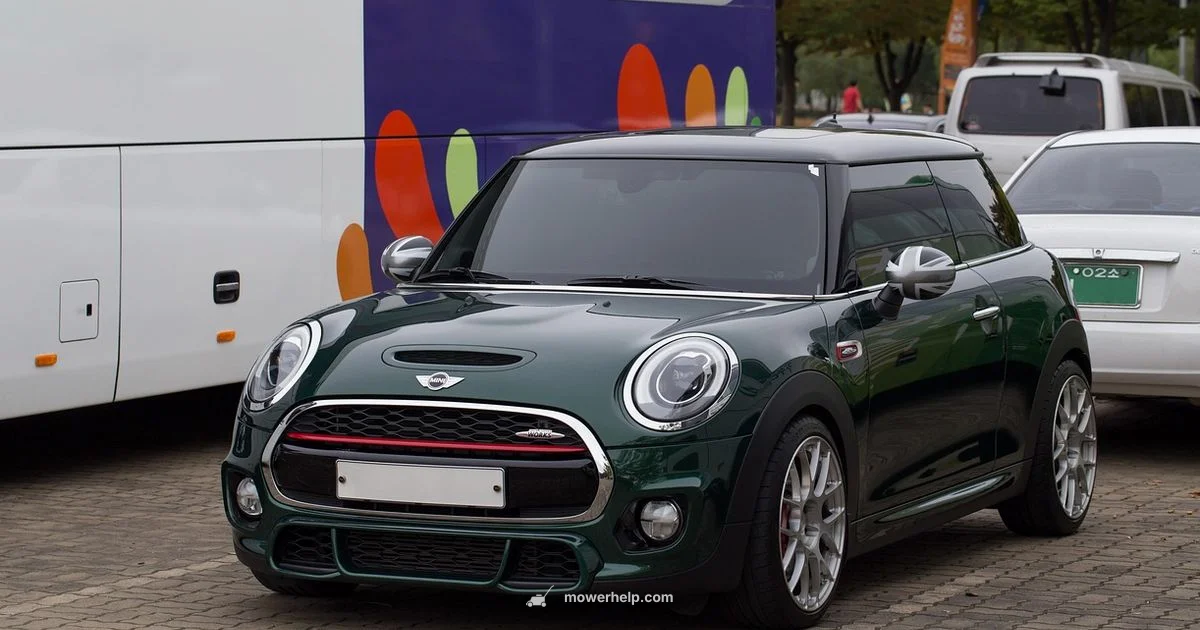 Mini Mower Guide - Mower Help
