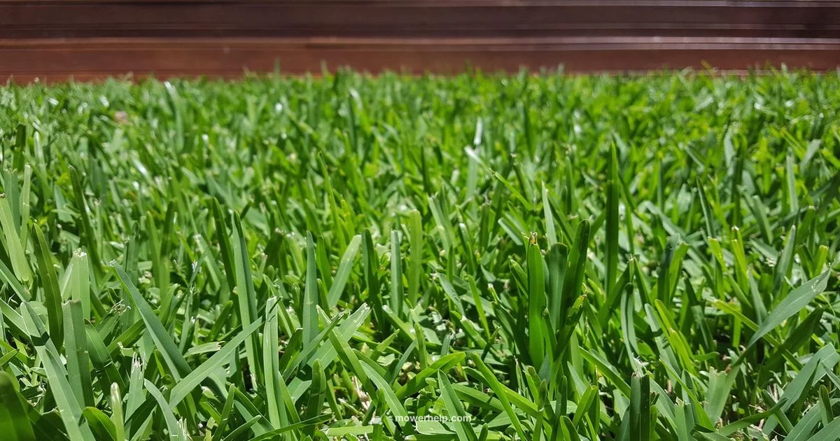 24 Inch Deck Mower - Mower Help