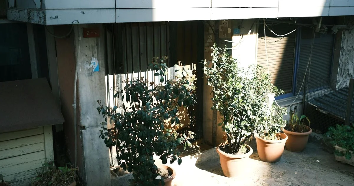 Riding Lawnmower Guide - Mower Help