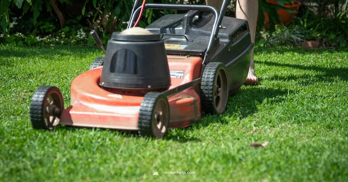 Deck Care Guide Deck Care Guide - Mower Help