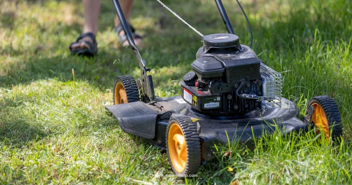 Spark Plug Guide - Mower Help