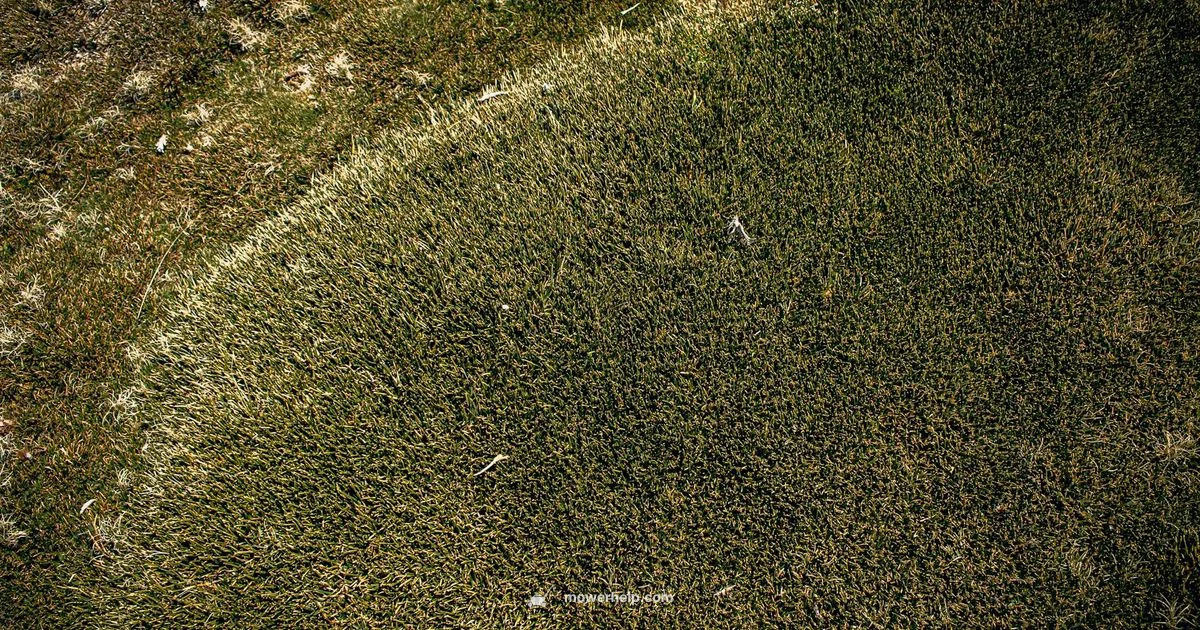 Chute Blocker Fix - Mower Help