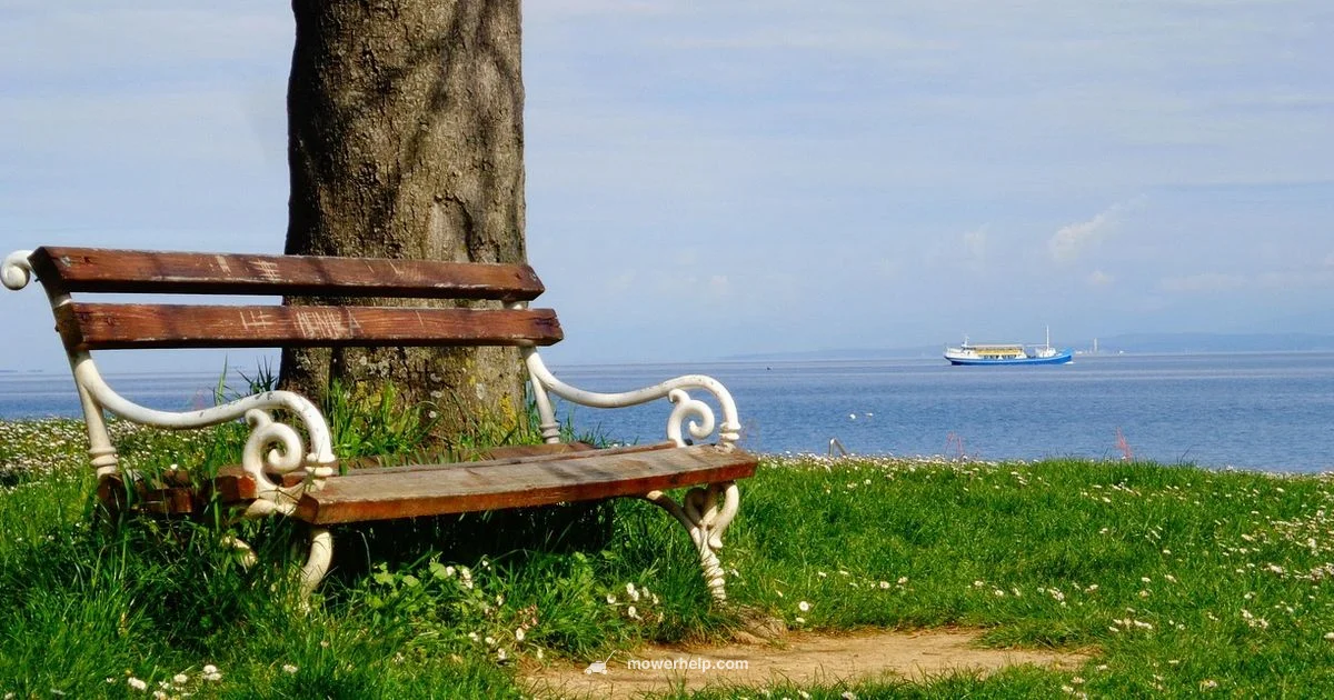 Comfortable Seat Upgrade - Mower Help