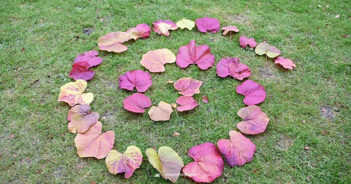 Ignition Coil Guide - Mower Help