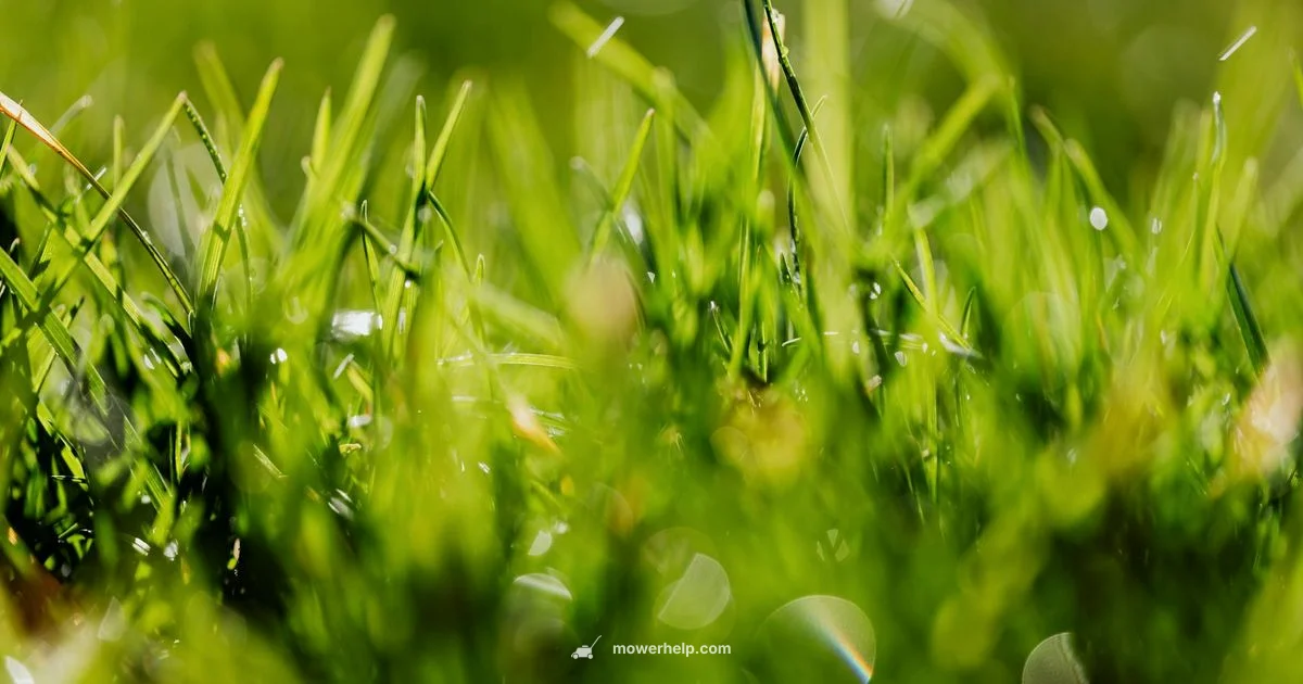 Murray 30-Inch Ride-On Murray 30-Inch Ride-On - Mower Help