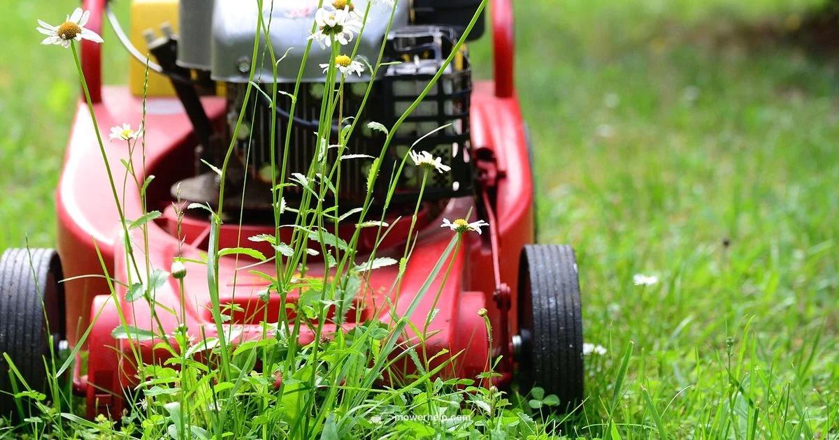 Rent a Lawn Mower - Mower Help