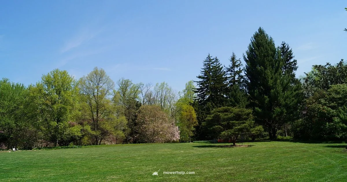 Lawn Mower Basics Lawn Mower Basics - Mower Help