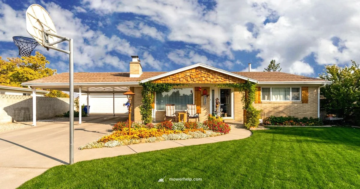 Black Max Review - Mower Help