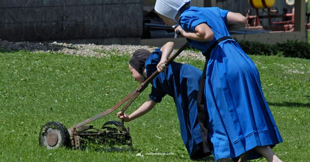 Ryobi Mower Review - Mower Help