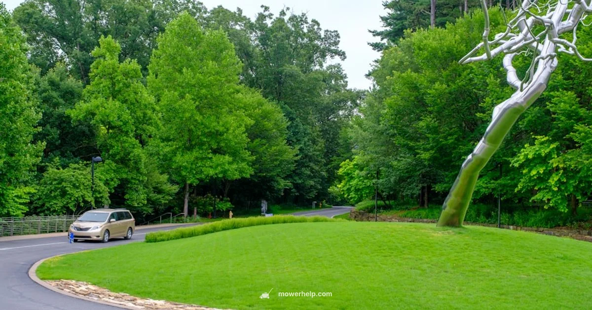 Top Self-Propelled Mowers 2026 Top Self-Propelled Mowers 2026 - Mower Help