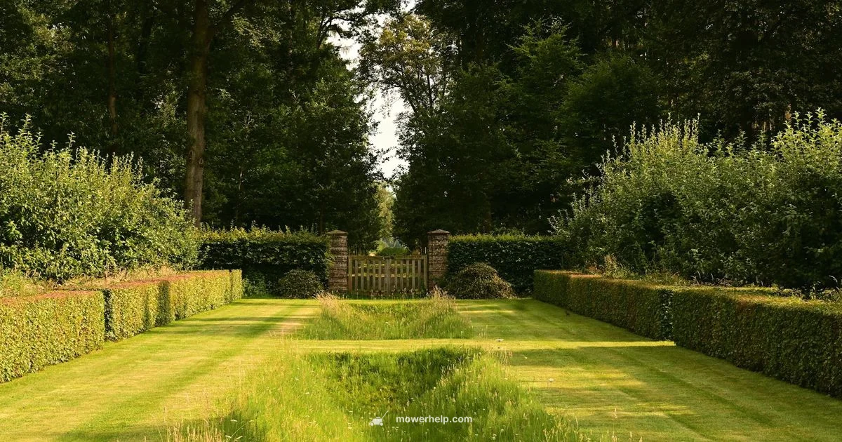 Electric Cylinder Mower Guide - Mower Help