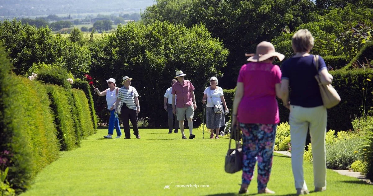 Altoz Mower Maintenance - Mower Help