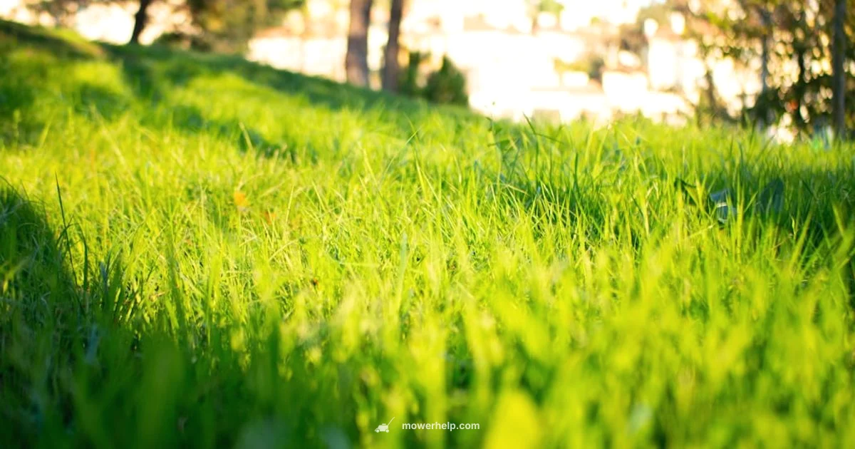 Top Zero-Turn Picks - Mower Help