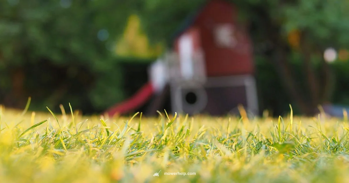 Red Lawn Mower Guide - Mower Help