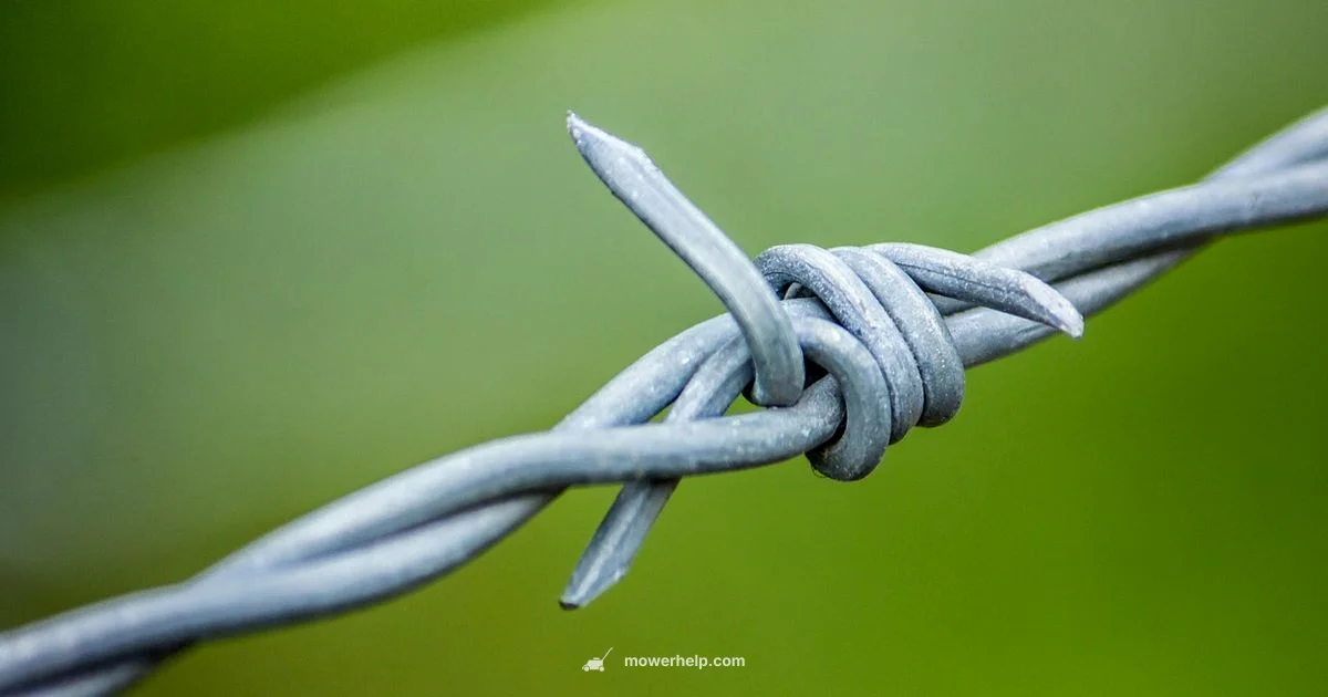 Lawn Roomba Guide - Mower Help