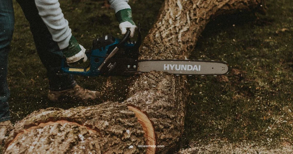 Self Cutting Mower Guide Self Cutting Mower Guide - Mower Help