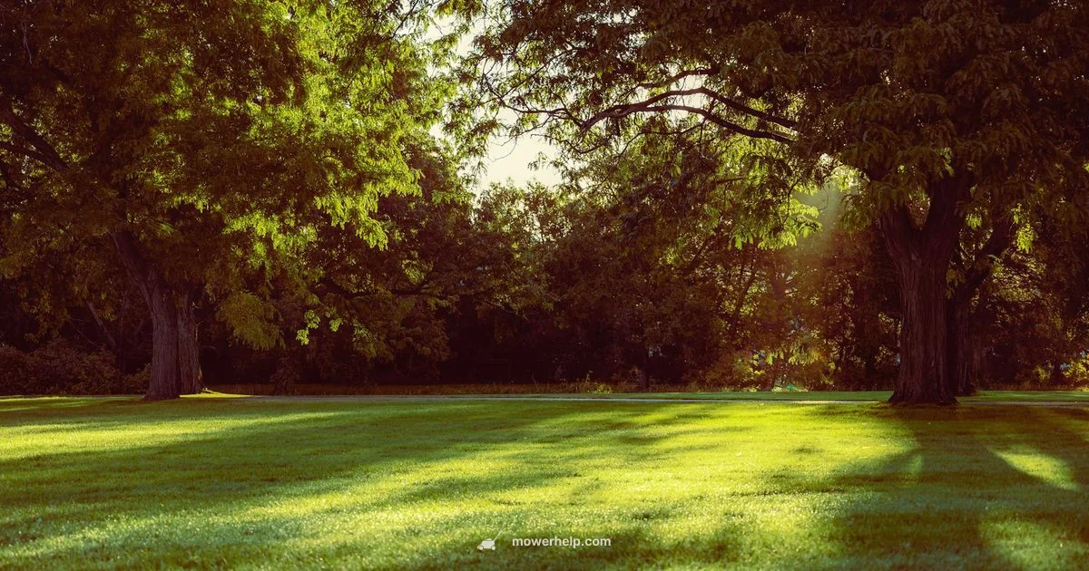 Top Rated Rider Top Rated Rider - Mower Help