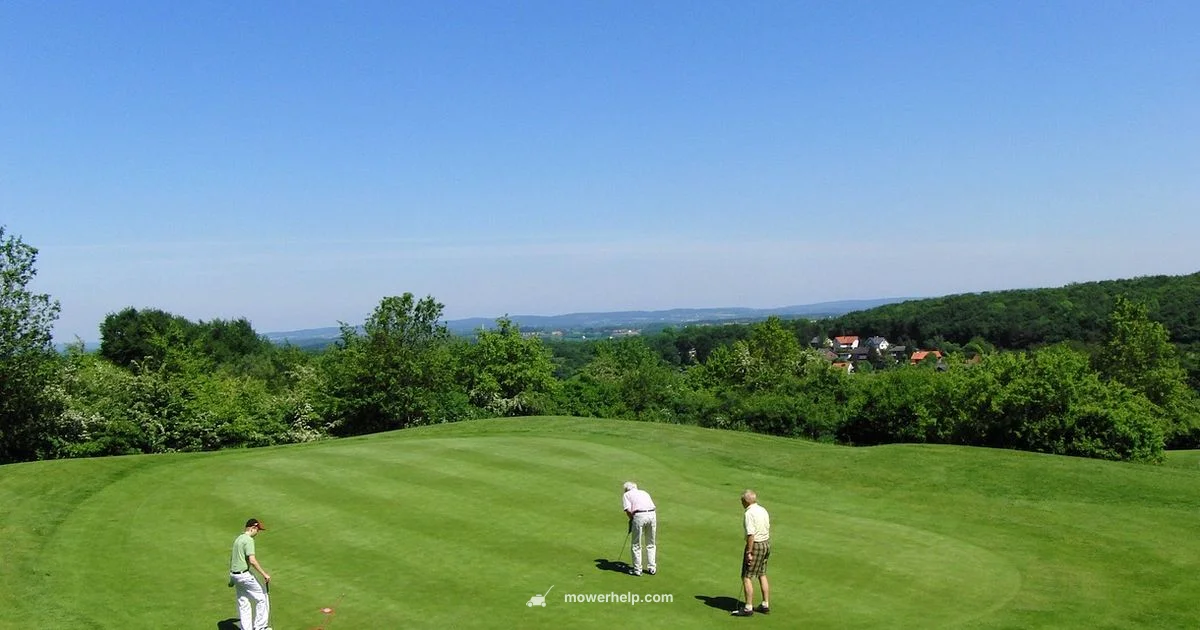 Mower-Friendly Landscaping - Mower Help