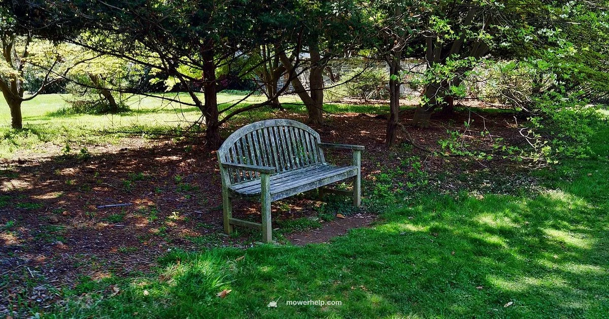 Lawn Mower Seat Guide - Mower Help