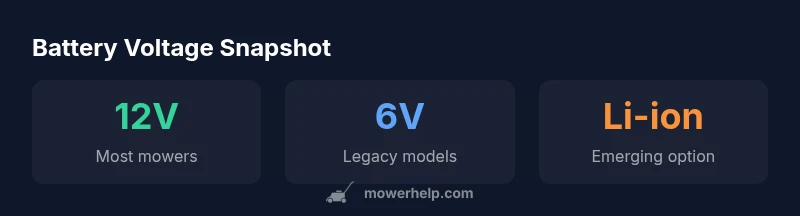 Battery voltage snapshot for lawn mower batteries