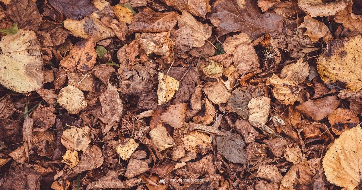 Leaf Mulch Mastery - Mower Help