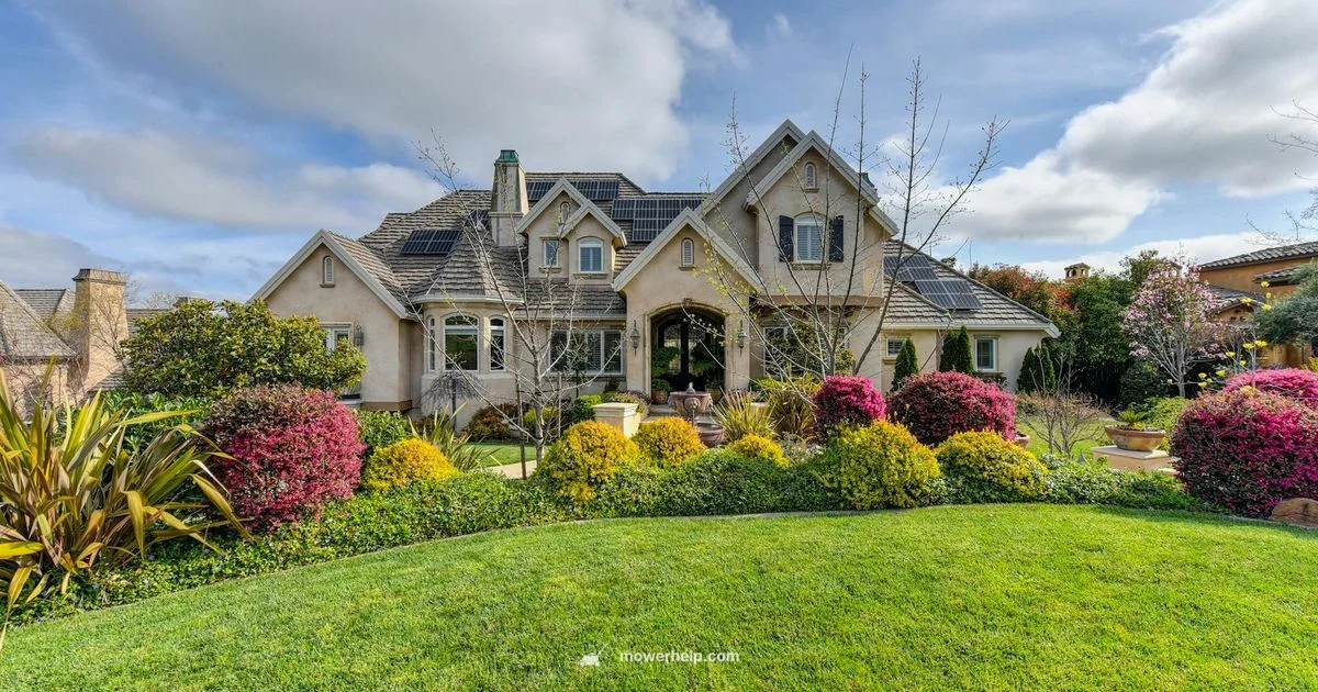 Best Buy Picks 2026 - Mower Help