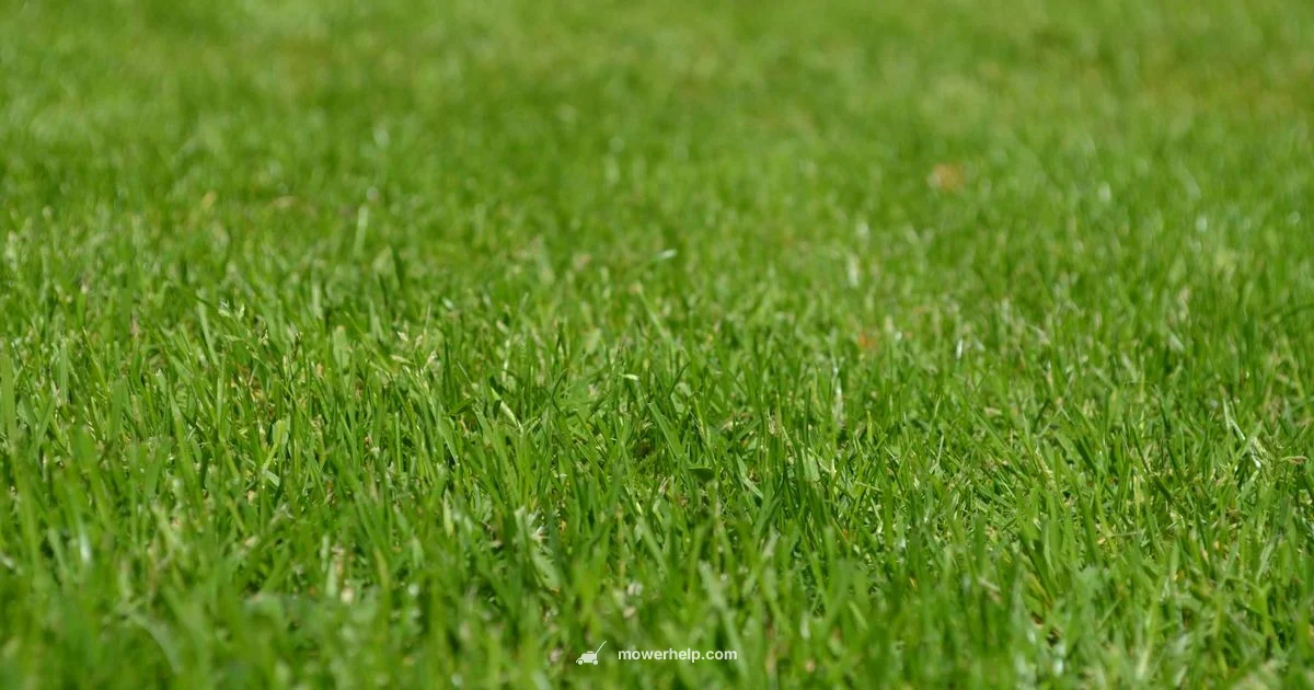 Zero Turn Mastery - Mower Help