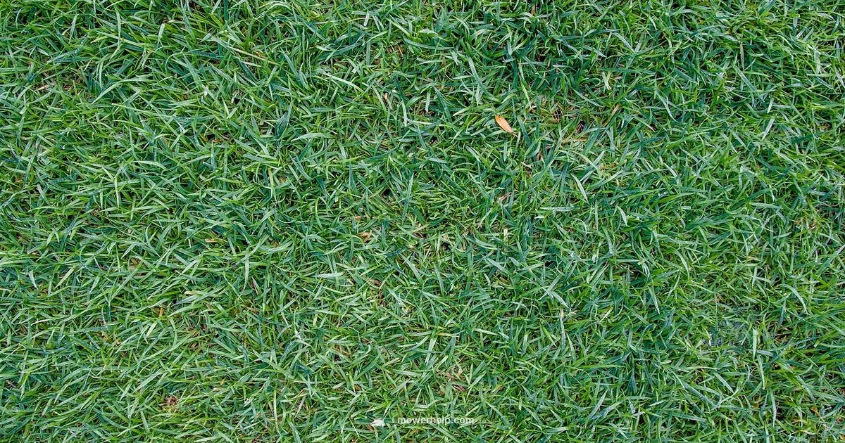 Price Guide - Mower Help