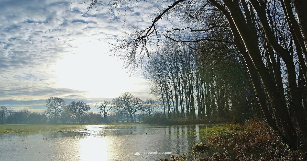 Flooded Mower Guide - Mower Help