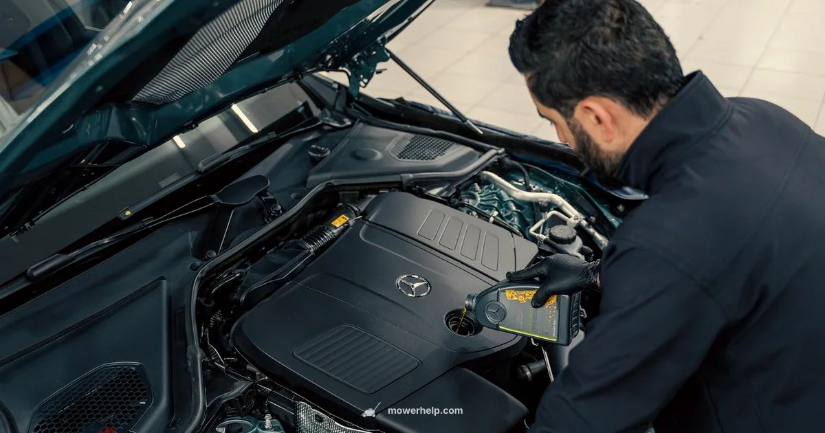 Oil for Lawn Mower - Mower Help