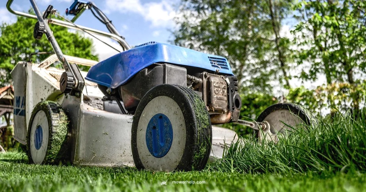 Automatic Mower Guide - Mower Help