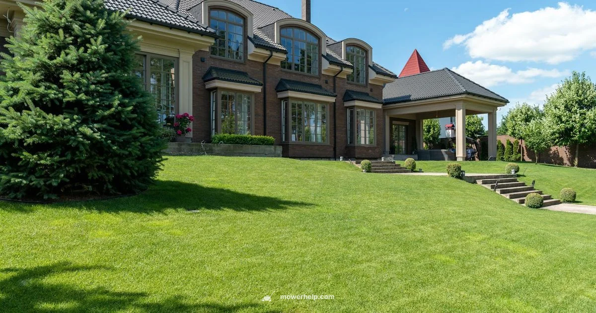 Gas Power Guide - Mower Help