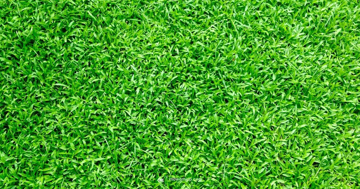 Craftsman Z5200 Review - Mower Help