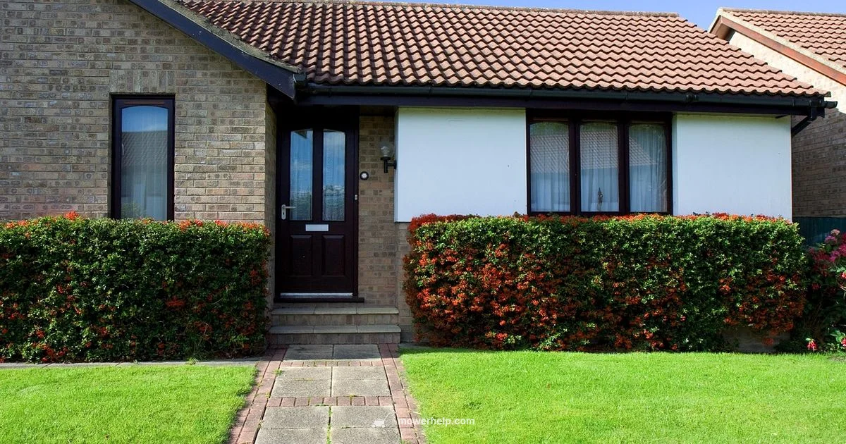 Lawn Mower Popularity - Mower Help