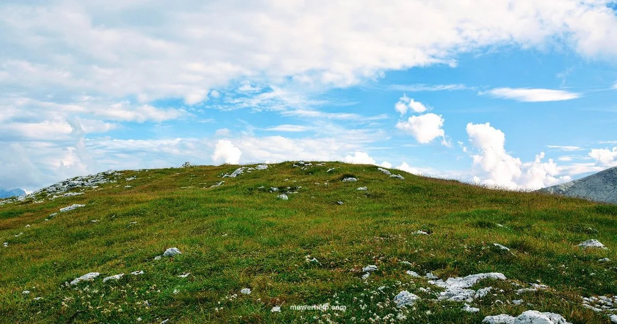 Lawn Mower Buying Guide - Mower Help