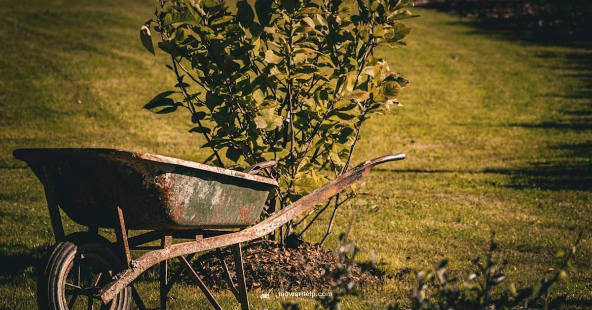 Gravely Zero-Turn Guide - Mower Help