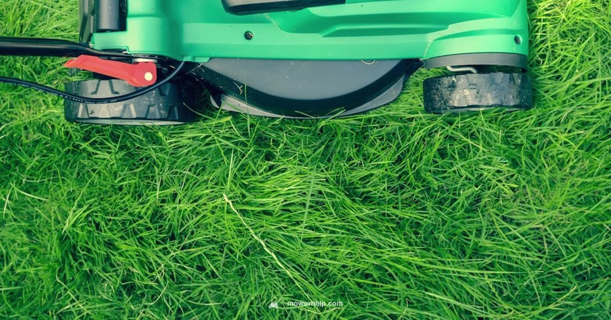 Oil Type Guide - Mower Help