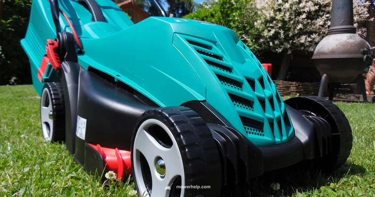 Dispose Lawn Mower Dispose Lawn Mower - Mower Help