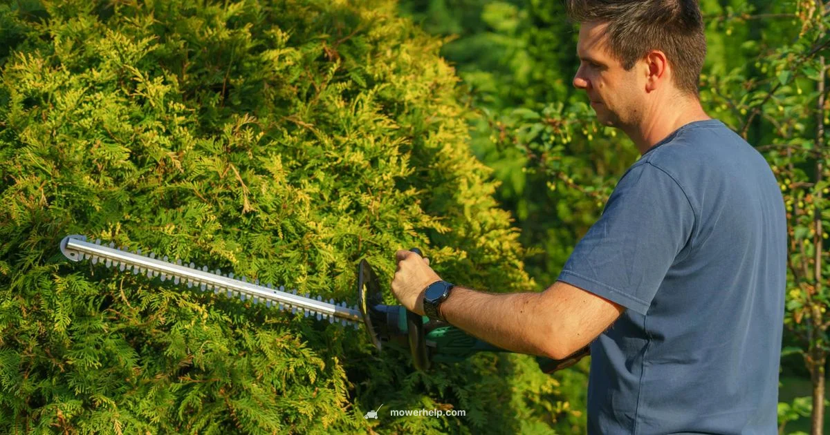 Electric Start Mower - Mower Help