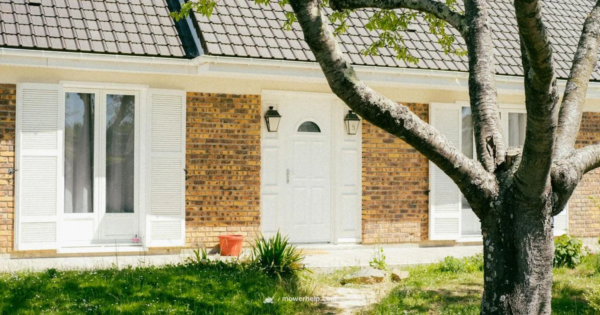 Cordless Mower Spotlight - Mower Help