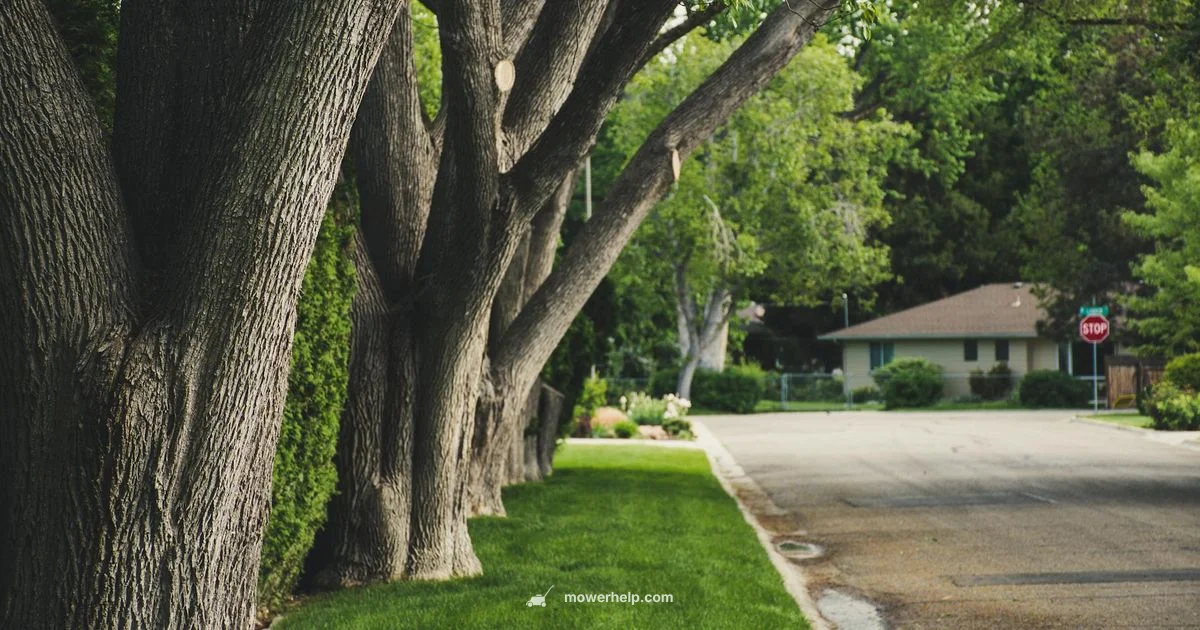 Troy-Bilt Walk-Behind Review - Mower Help