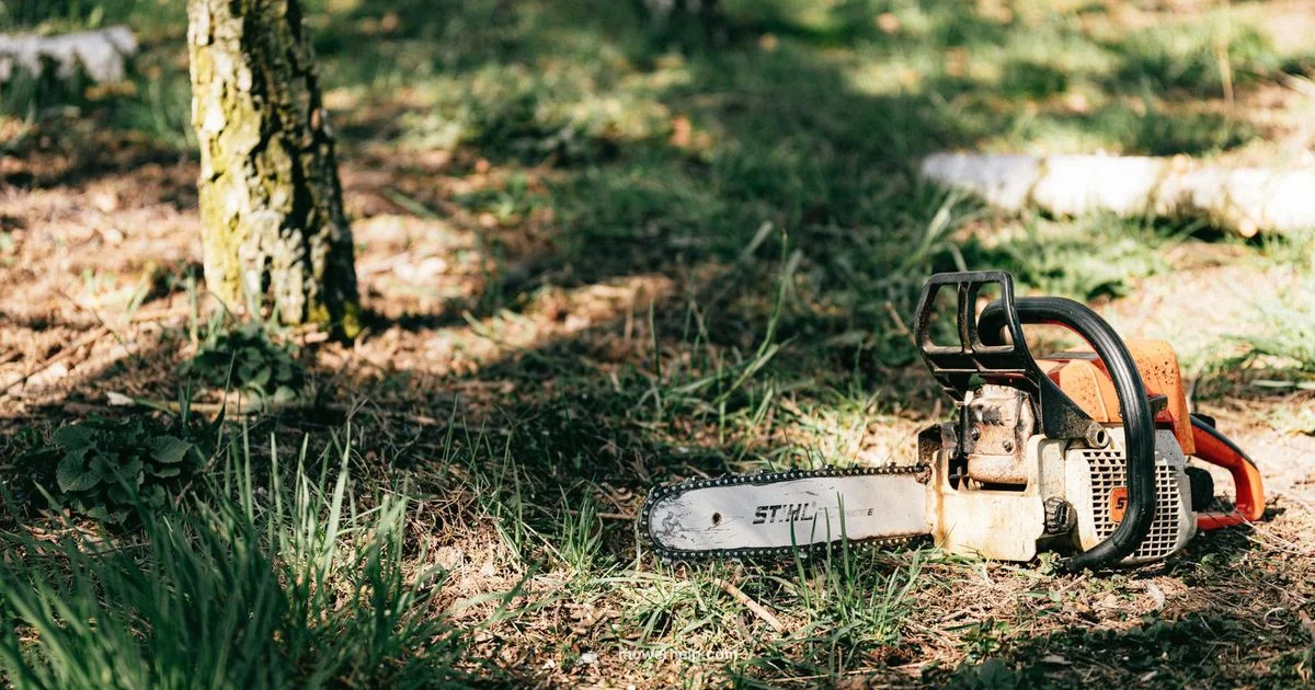 Honda Electric Mower Guide Honda Electric Mower Guide - Mower Help