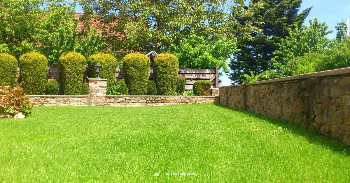 Lawn Mower Spelling - Mower Help