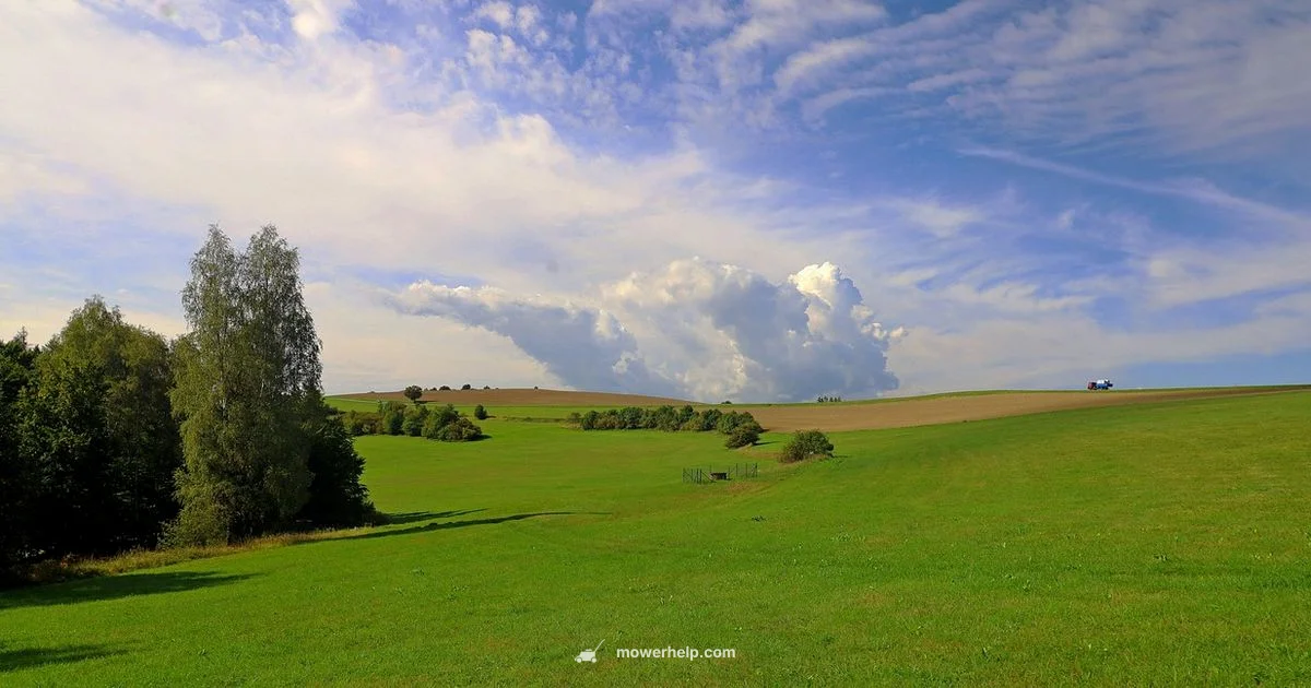 Exmark Quest Review - Mower Help