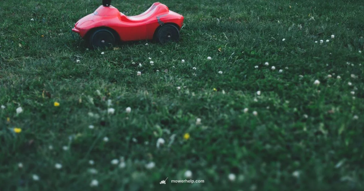 Lawn Mower Safety - Mower Help