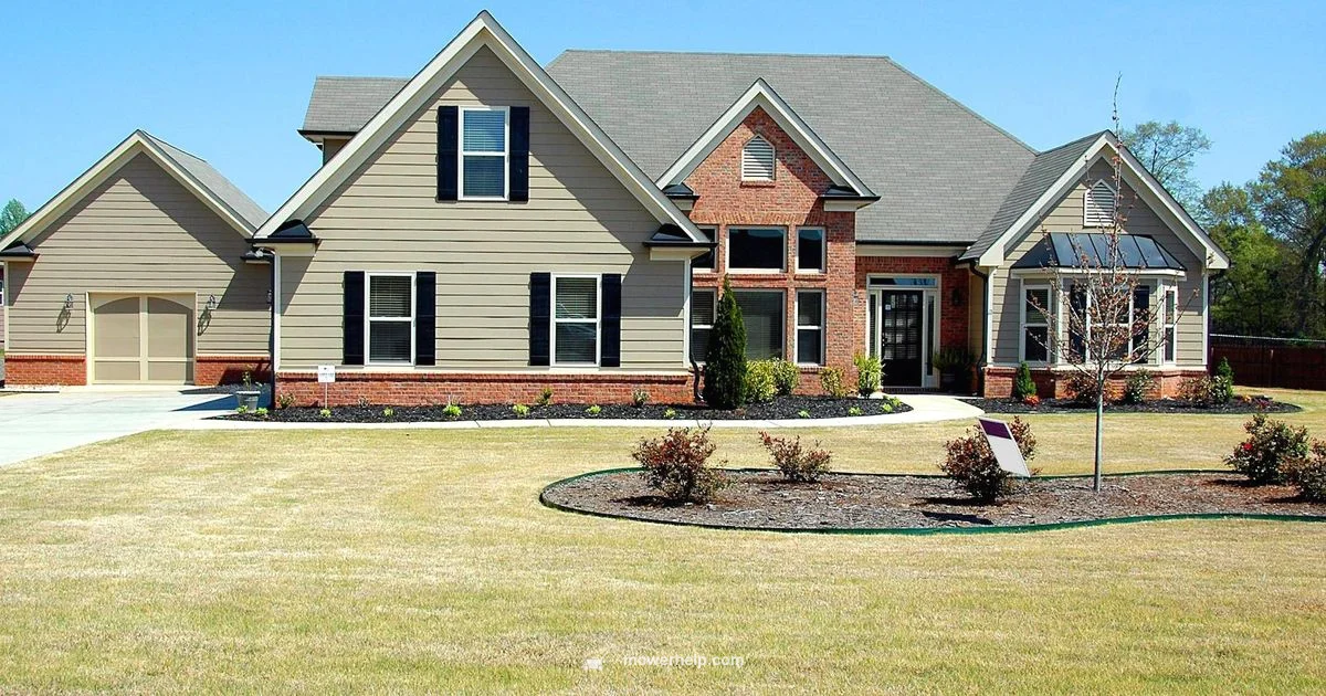 Best Budget Ride-On Best Budget Ride-On - Mower Help