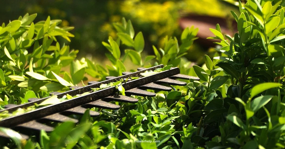 122hd60 Hedge Trimmer - Mower Help